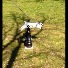 Kanin Taharas Sofia Lugo