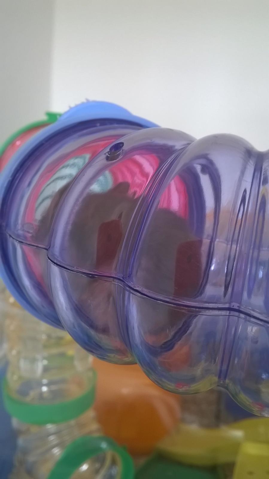 Dværghamster Kvik - Jeg sover, smut xD billede 7