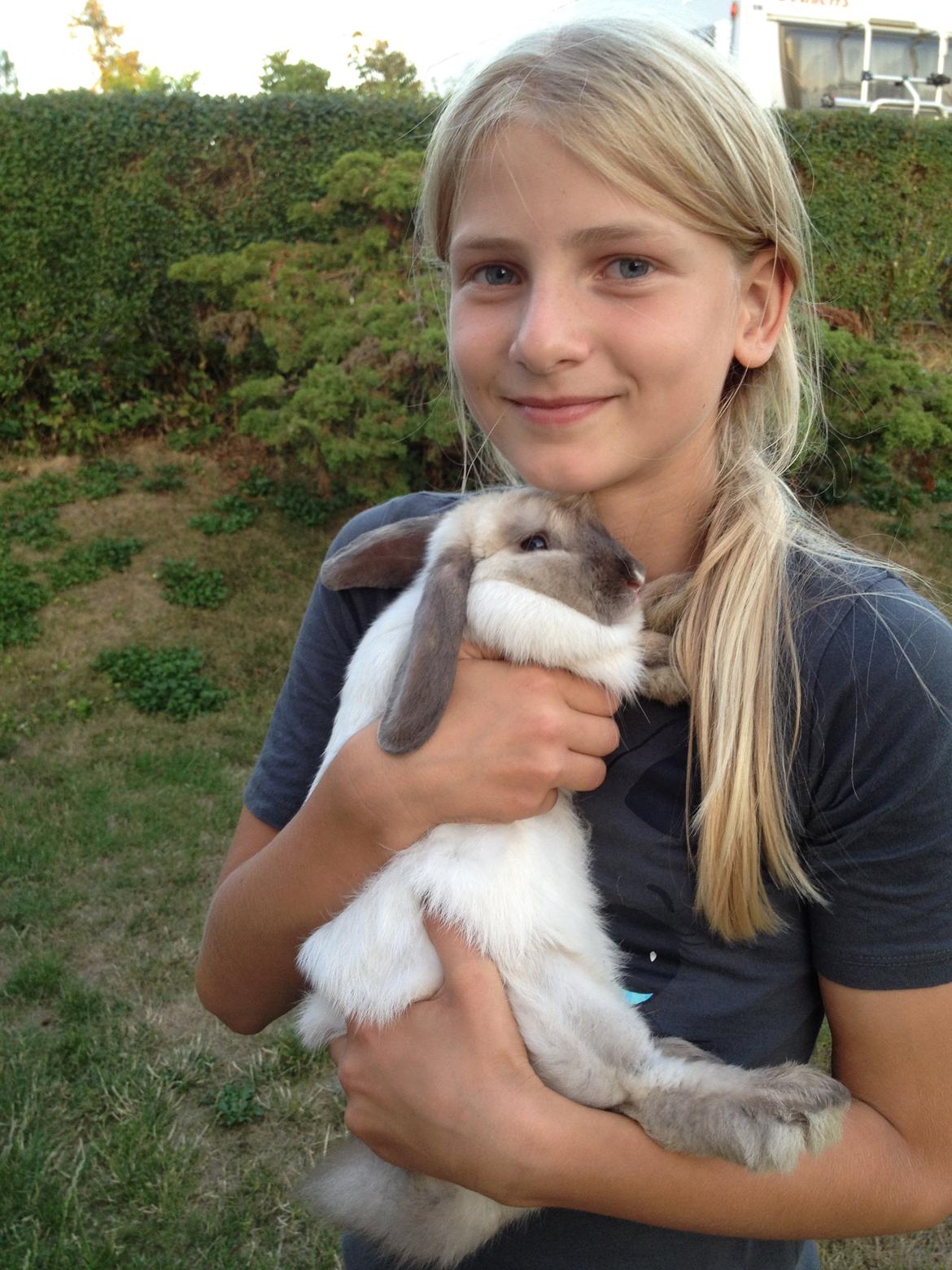 Kanin Cato og vanilje billede 23