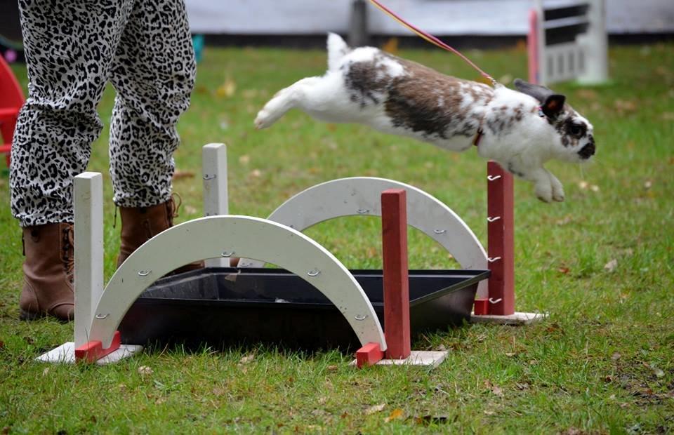 Kanin Taharas Farida Mugisha billede 2