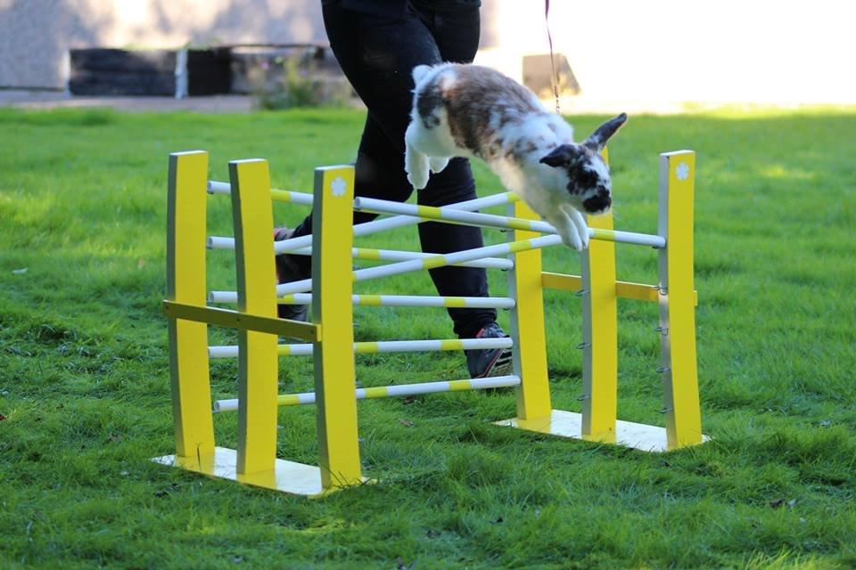 Kanin Taharas Farida Mugisha billede 3