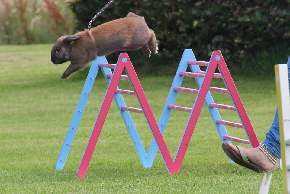 Kanin Eskirs Ziyu Al Yaqoub billede 2