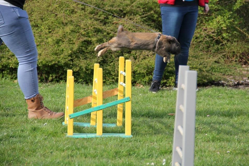 Kanin Eskirs Ziyu Al Yaqoub billede 4