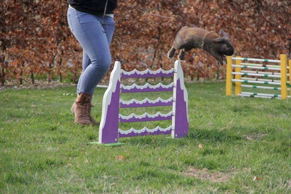 Kanin Eskirs Ziyu Al Yaqoub billede 5