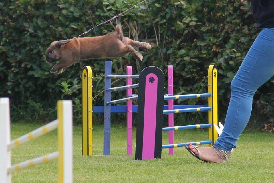 Kanin Eskirs Ziyu Al Yaqoub billede 1