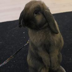 Kanin Eskirs Anaki Eyedea