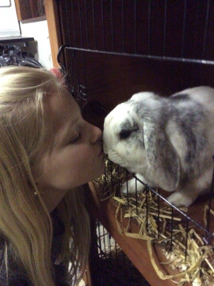 Kanin Semba! <3 - kys! billede 8