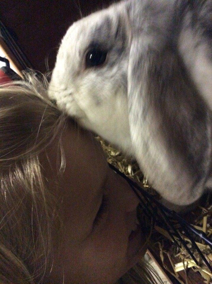 Kanin Semba! <3 billede 9