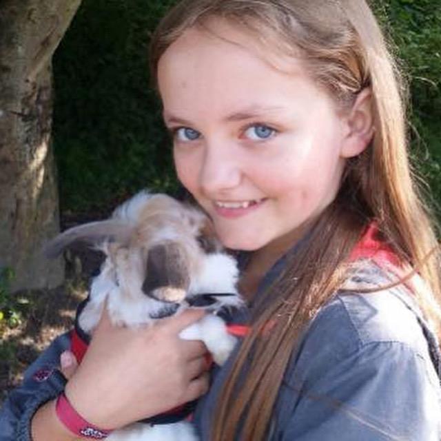 Kanin Benjamin billede 2