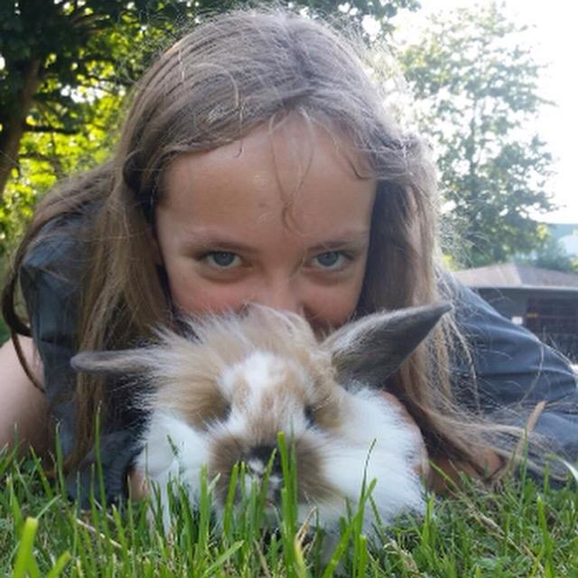 Kanin Benjamin billede 6