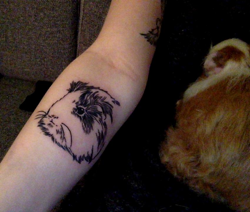 Marsvin Aeruca - I dag har jeg Aeruca tatoveret på min arm, så hun er med mig for evigt <3 billede 2