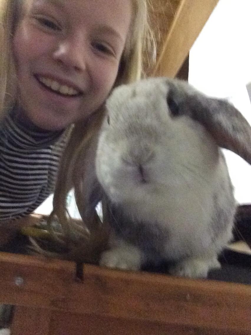 Kanin Semba! <3 billede 14