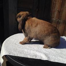 Kanin Eskirs Anaki Eyedea