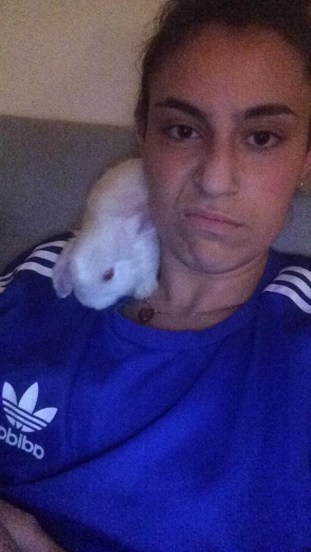 Kanin Preben billede 11