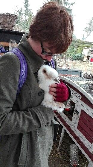 Kanin Percy billede 15