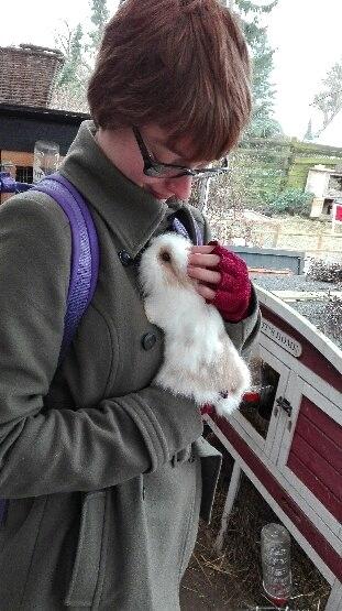 Kanin Percy billede 16