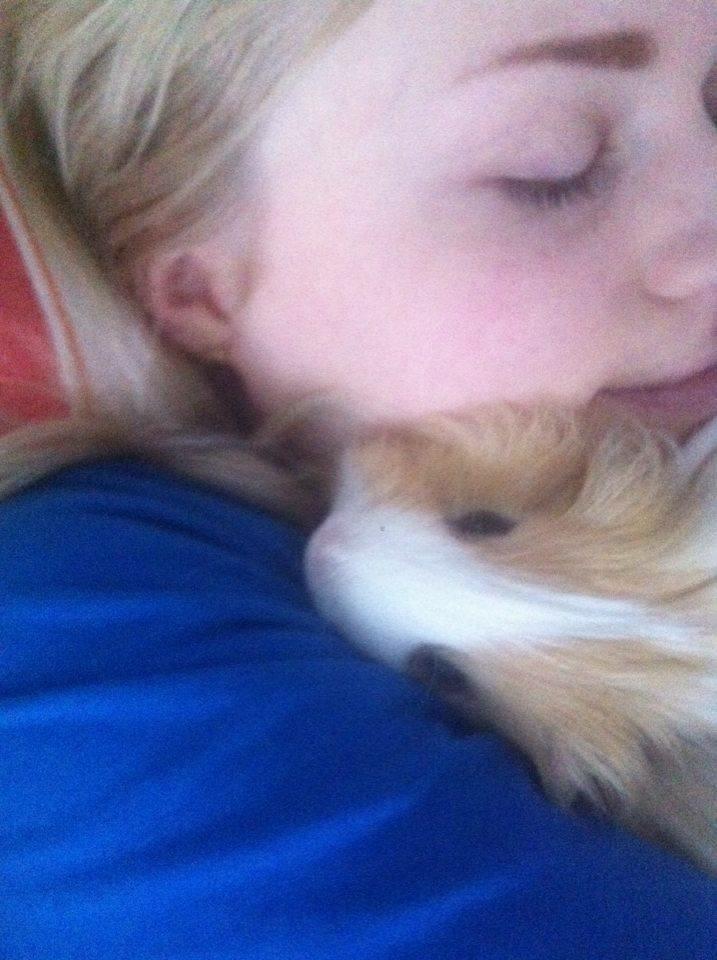 Marsvin Eskild - Det bedste er at ligge og putte hos mor billede 10