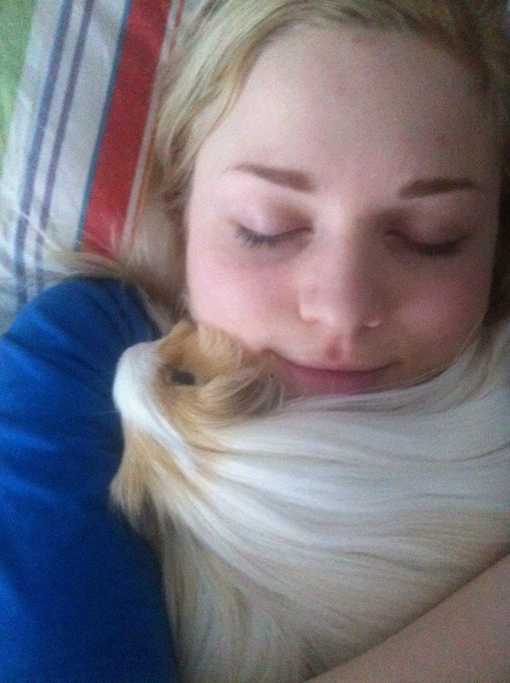 Marsvin Eskild - Det allerbedste sted at ligge <3 billede 11