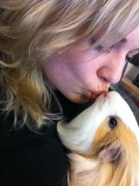 Marsvin Eskild - Åh dejlige mys, man får fra Eskild <3 billede 3