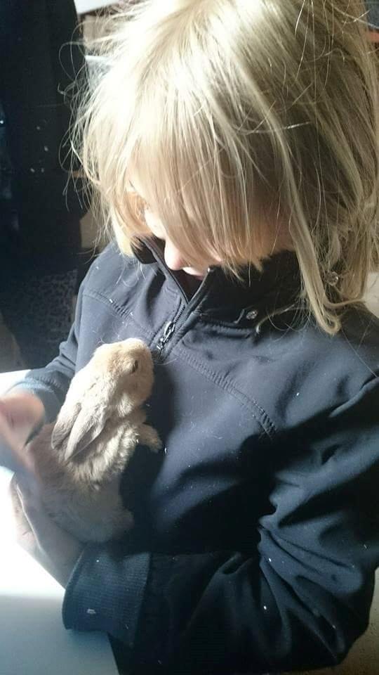 Kanin Frida Lullu billede 6