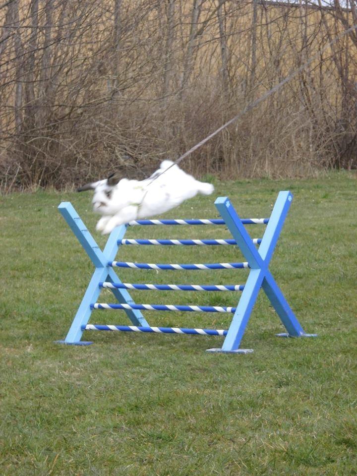 Kanin Winds Giyan billede 11