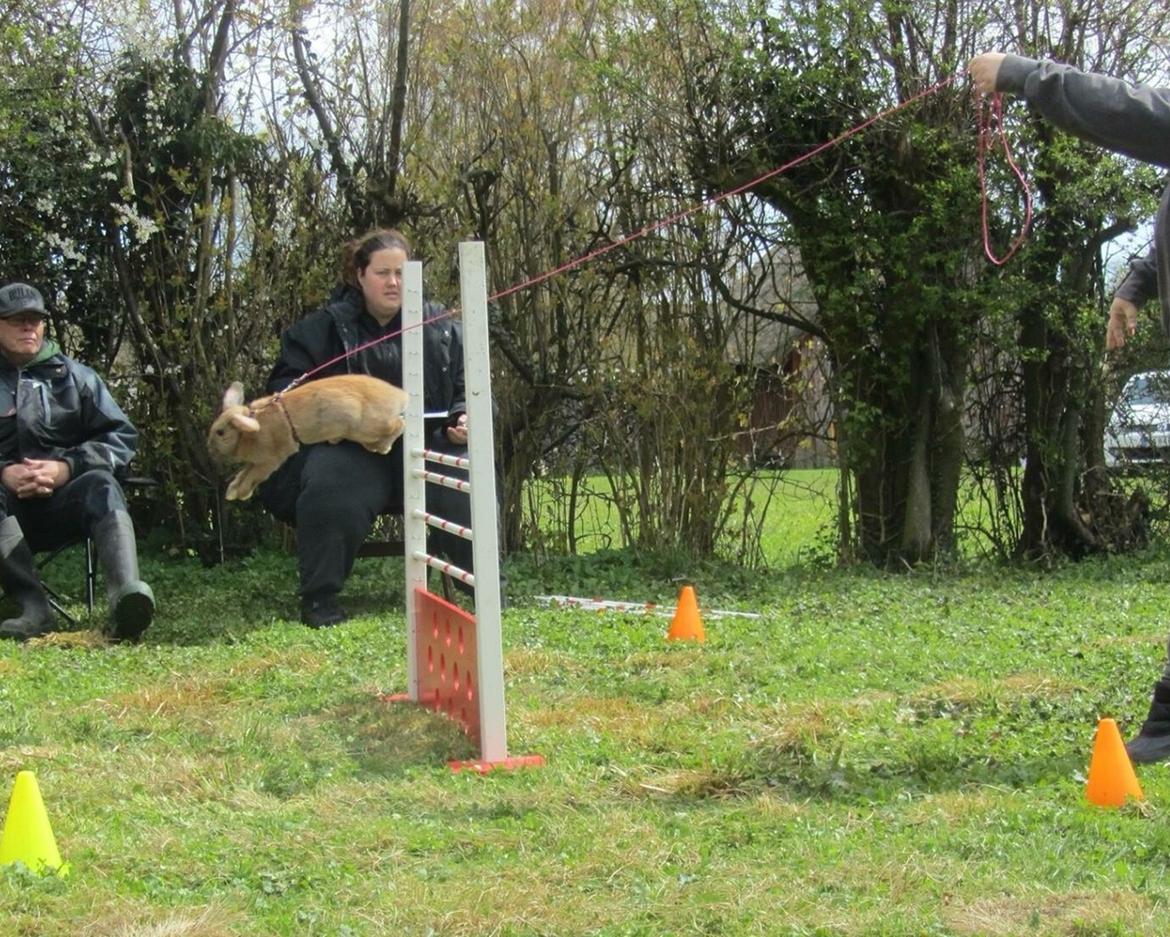 Kanin Oceans SCh. Playa Vargas af Sofiagården billede 17