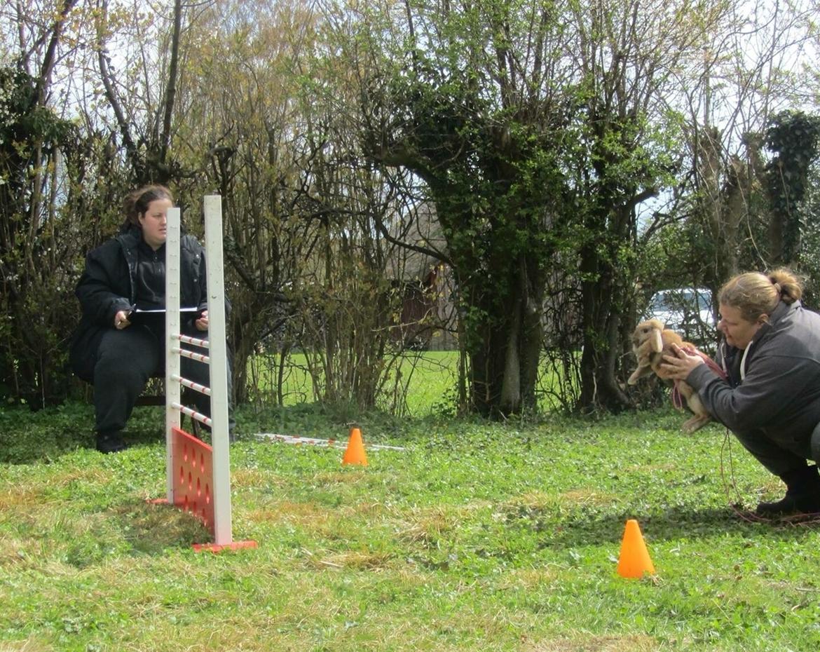Kanin Oceans SCh. Playa Vargas af Sofiagården billede 18