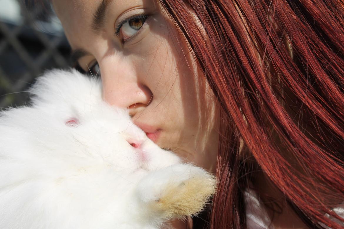 Kanin Prinsesse pjuske billede 7