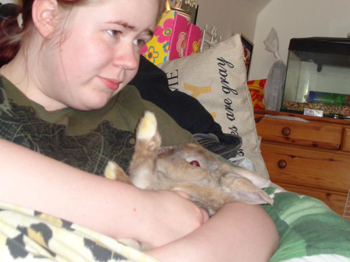 Kanin Diva Dynamo  billede 9