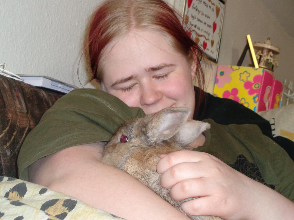 Kanin Diva Dynamo  billede 8