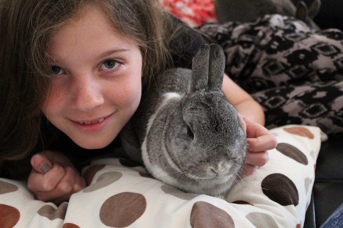 Kanin Speedy billede 9