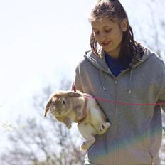 Kanin Foghs Mazz Nyko