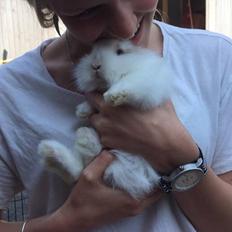 Kanin Yagis' Fantastic Fluffy Fnuggi