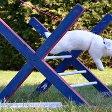 Kanin Hybens Nice Things 