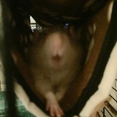 Tamrotte Jamie R.I.P