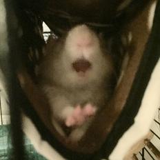 Tamrotte Jamie R.I.P