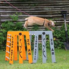 Kanin Oceans SCh. Playa Vargas af Sofiagården