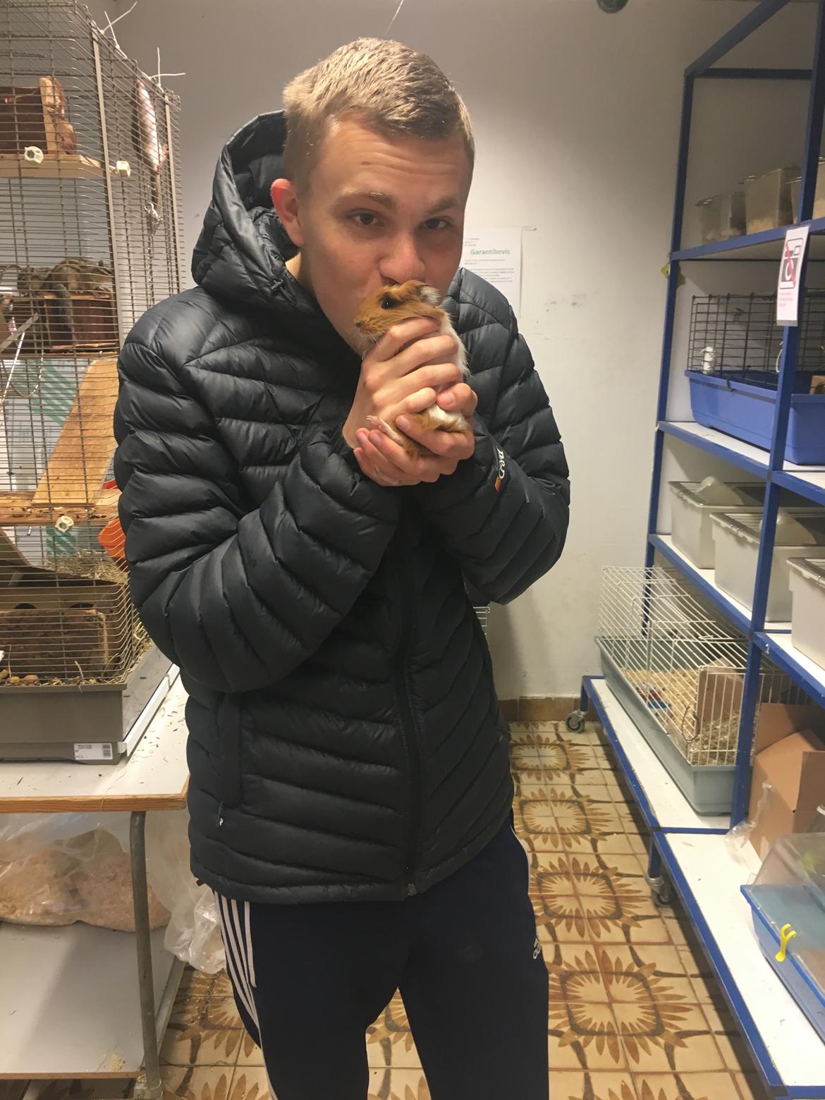 Marsvin Flæskesteg billede 3