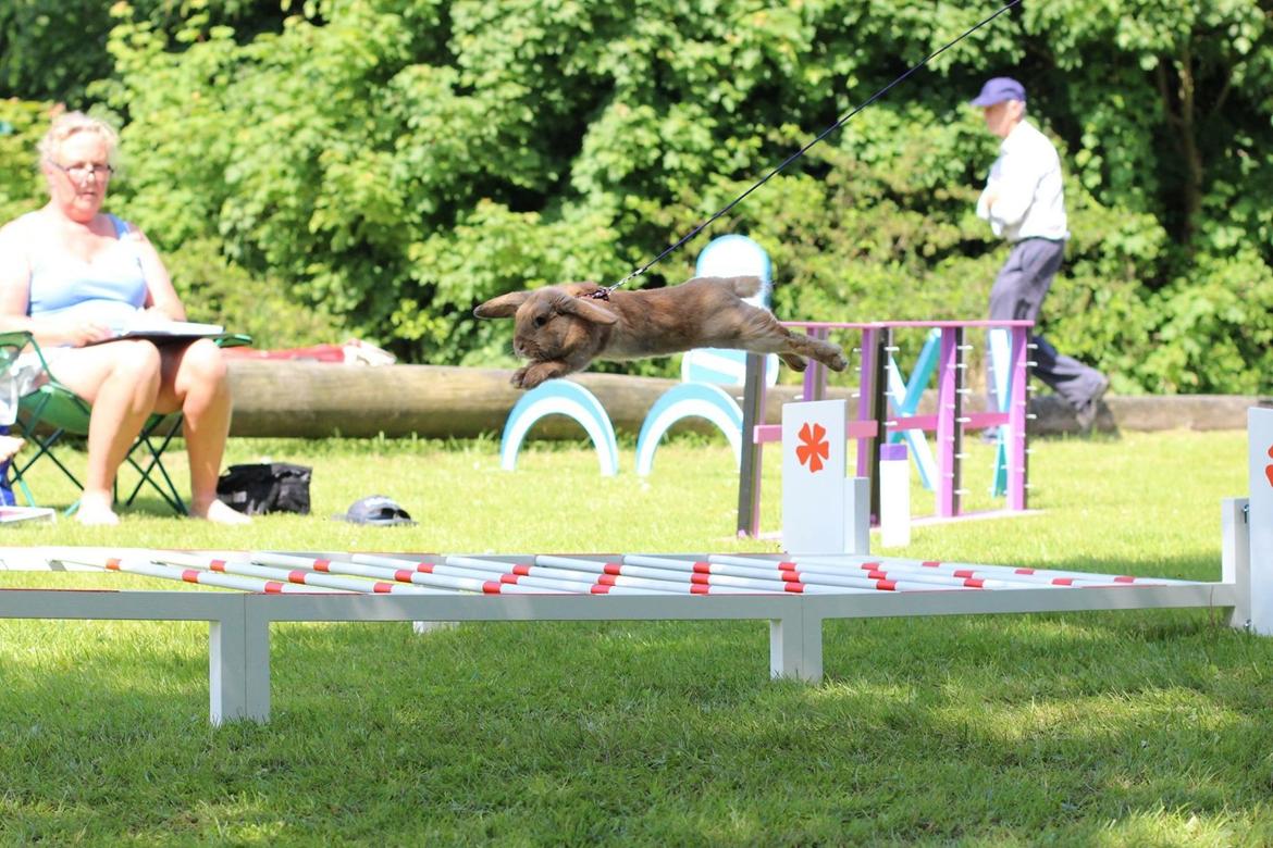 Kanin Oceans SCh. Playa Vargas af Sofiagården billede 10