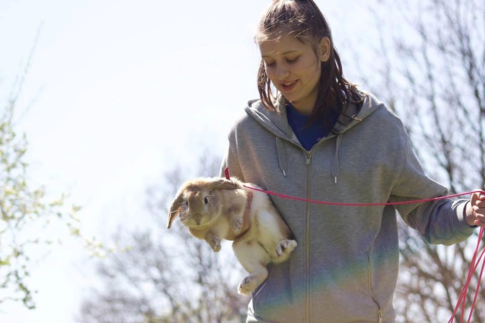 Kanin Foghs Mazz Nyko billede 3