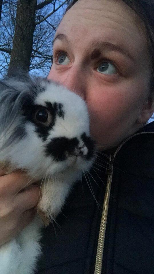 Kanin Everybodys Elmo Elliot billede 6