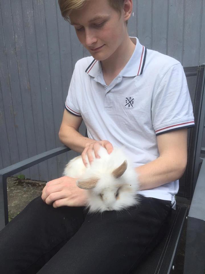 Kanin Yagis' Fantastic Fluffy Fnuggi billede 8