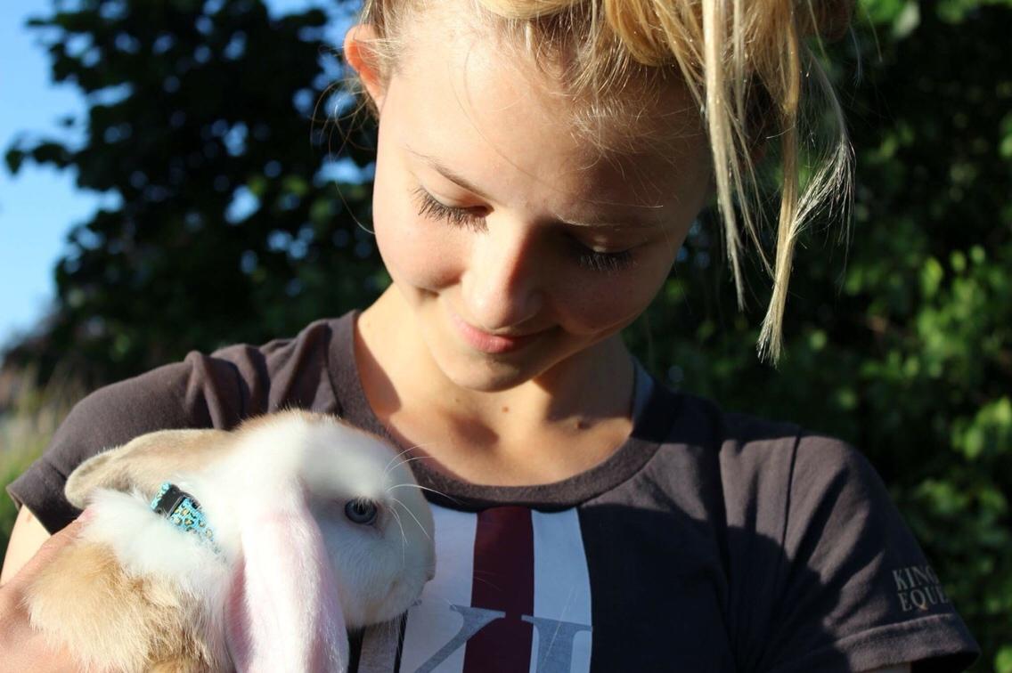 Kanin Twoface *Himmelgnaver* billede 10