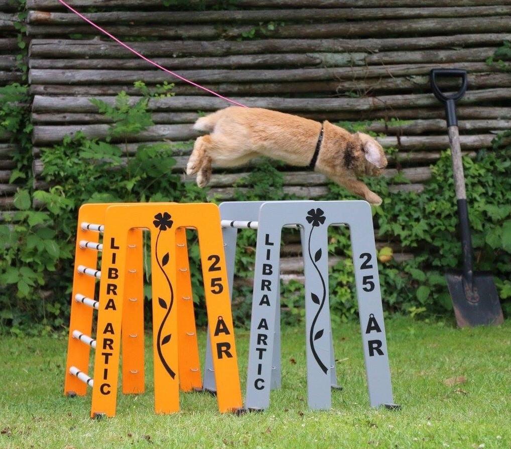 Kanin Oceans SCh. Playa Vargas af Sofiagården billede 1