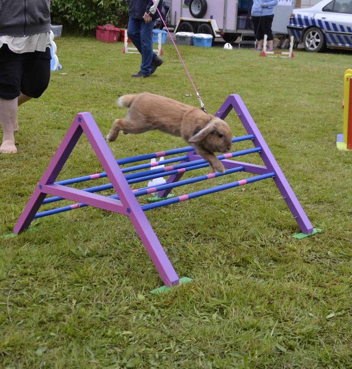 Kanin Oceans SCh. Playa Vargas af Sofiagården billede 30