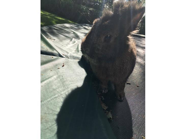 {{currentPhoto.altText}} billede {{currentPhoto.number}}