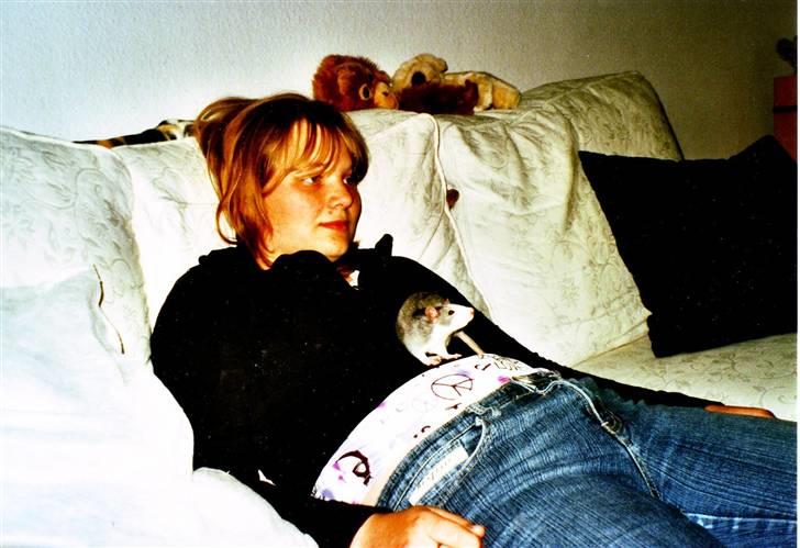 Tamrotte Silver *R.I.P* billede 2