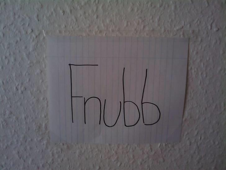 Dværghamster Fnubb - Det skilt hænger over hans bur.. billede 3