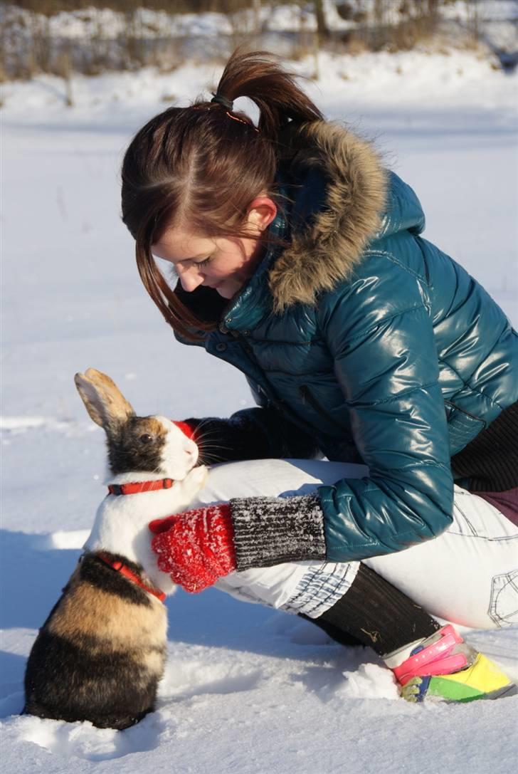 Kanin Mimrelunds Purple Rain billede 3