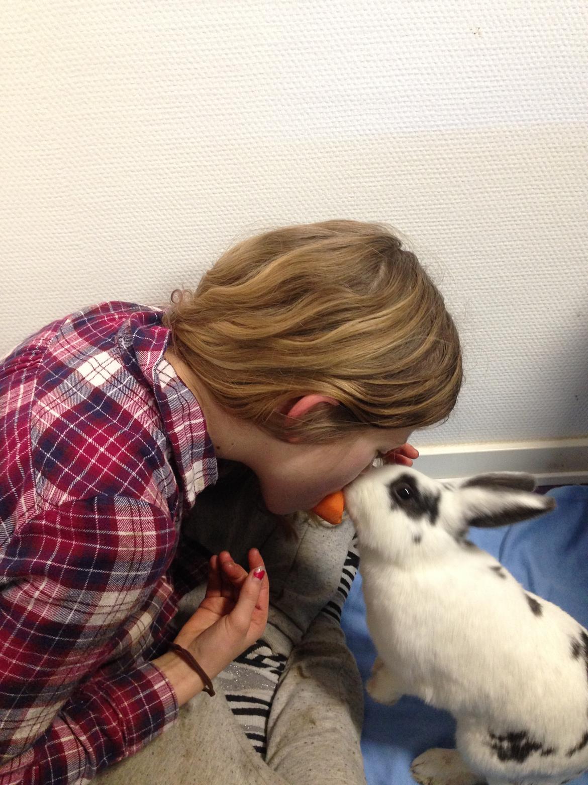 Kanin Stald Lundegaards oreo billede 21